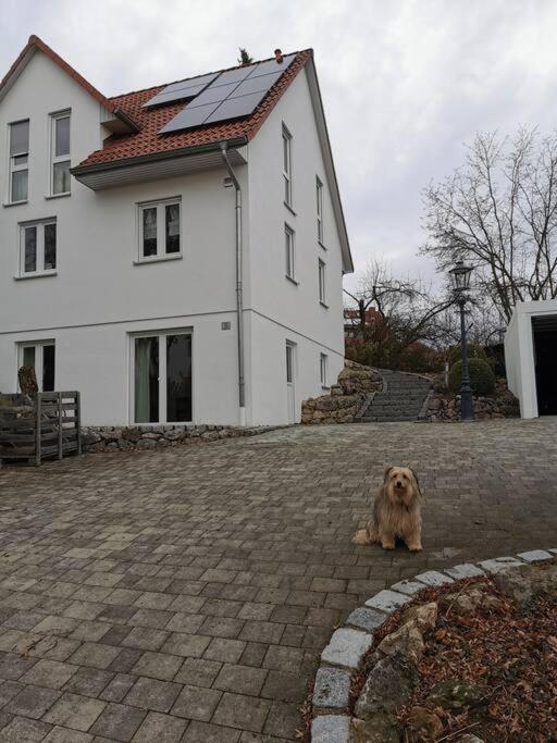 RAuszeit Lejlighed Nittendorf Eksteriør billede
